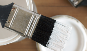 Interior Paint & Preparation Clean Brush