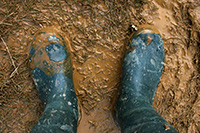 Learn More About Protective Footwear Standards